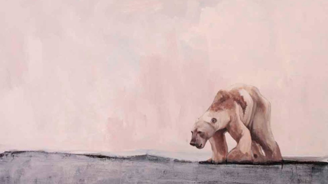 Biały niedźwiedź trafi do Śląskiego Ogrodu Zoologicznego Biały niedźwiedź trafi do Śląskiego Ogrodu Zoologicznego