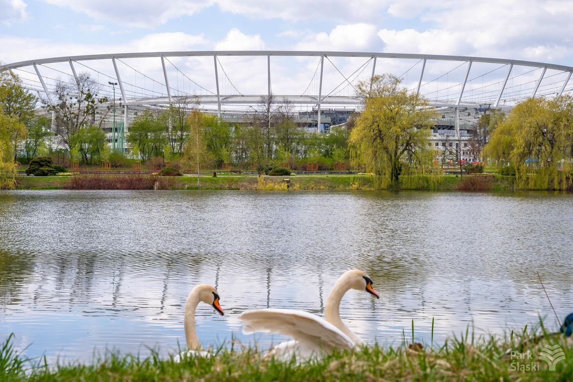 Bilet Wspólny w TAURON Parku Śląskim – dostępny tylko do 30 września 2025