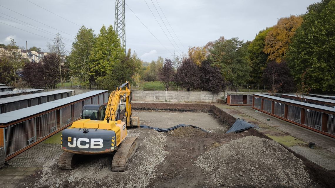 Budowa nowego budynku schroniska wstrzymana po odkryciu kości! Sprawę badają już odpowiednie służby