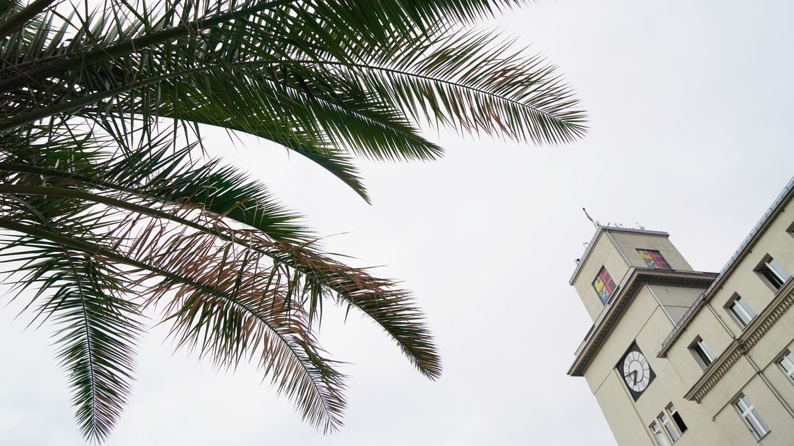 Budżet Chorzowa 2026: historyczne dochody, rekordowy deficyt. Oto lista najważniejszych wydatków inwestycyjnych