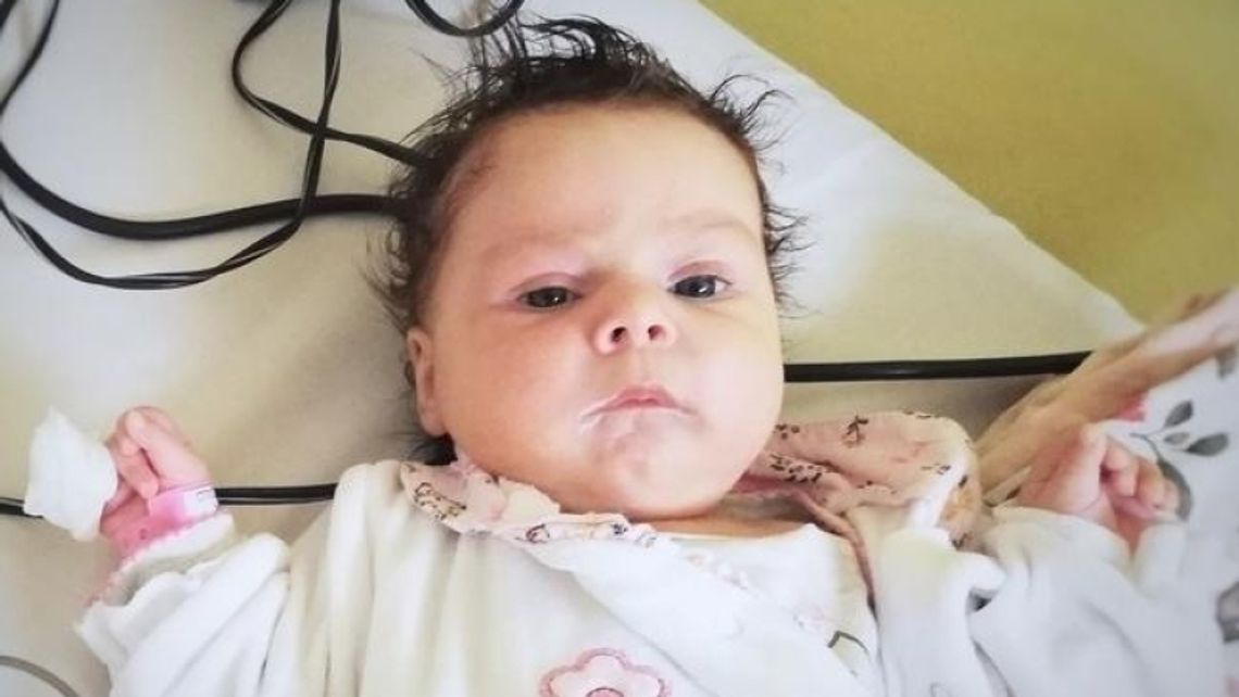 Charytatywny koncert dla Oliwki Charytatywny koncert dla Oliwki