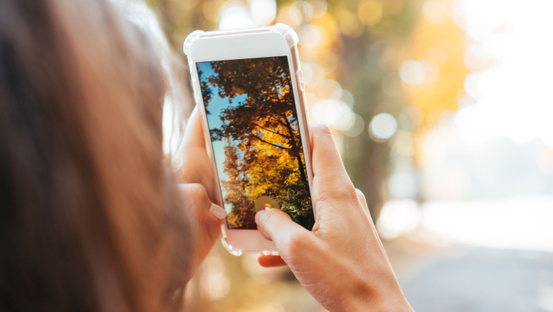 Chorzów na zdjęciach fotografów z całej Polski Chorzów na zdjęciach fotografów z całej Polski