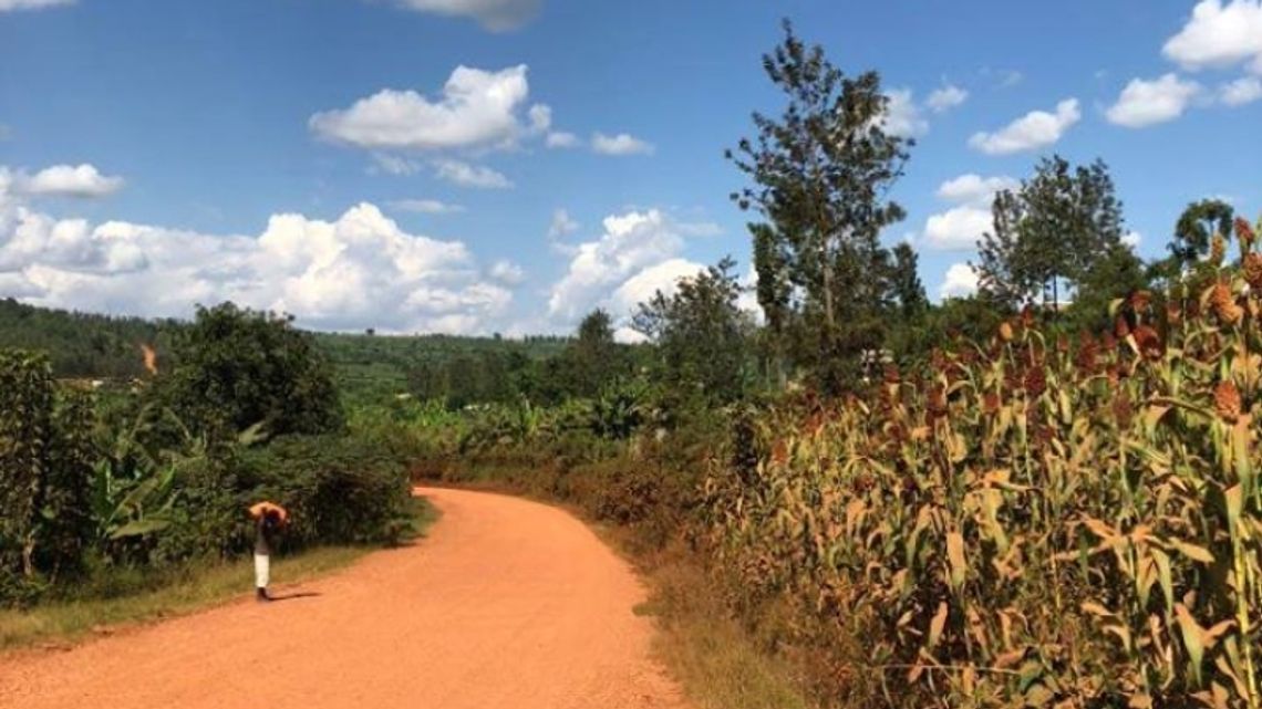 Chorzów ponownie pomoże mieszkańcom Rwandy