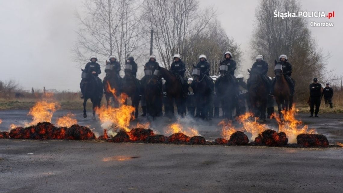 Chorzów straci oddział policji konnej? 