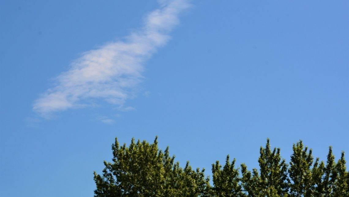 Chorzów zaciągnie pożyczkę na walkę z niską emisją