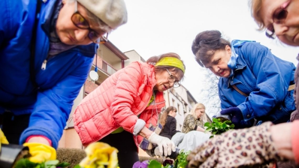 Chorzów zakwitnie międzypokoleniowo Chorzów zakwitnie międzypokoleniowo