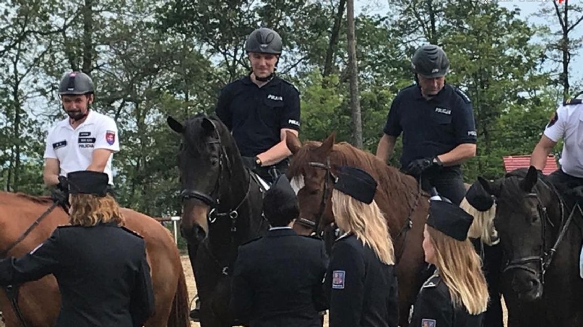 Chorzowscy policjanci na mistrzostwach w Brnie Chorzowscy policjanci na mistrzostwach w Brnie