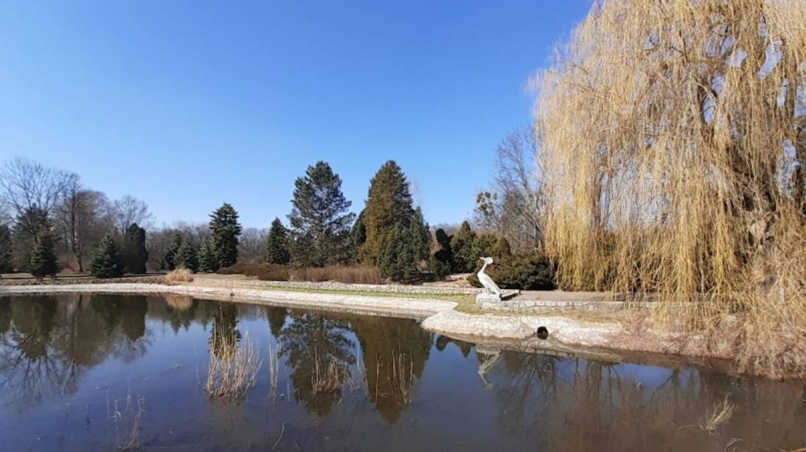 Chorzowski "Byliniak" niebawem wypięknieje Chorzowski "Byliniak" niebawem wypięknieje