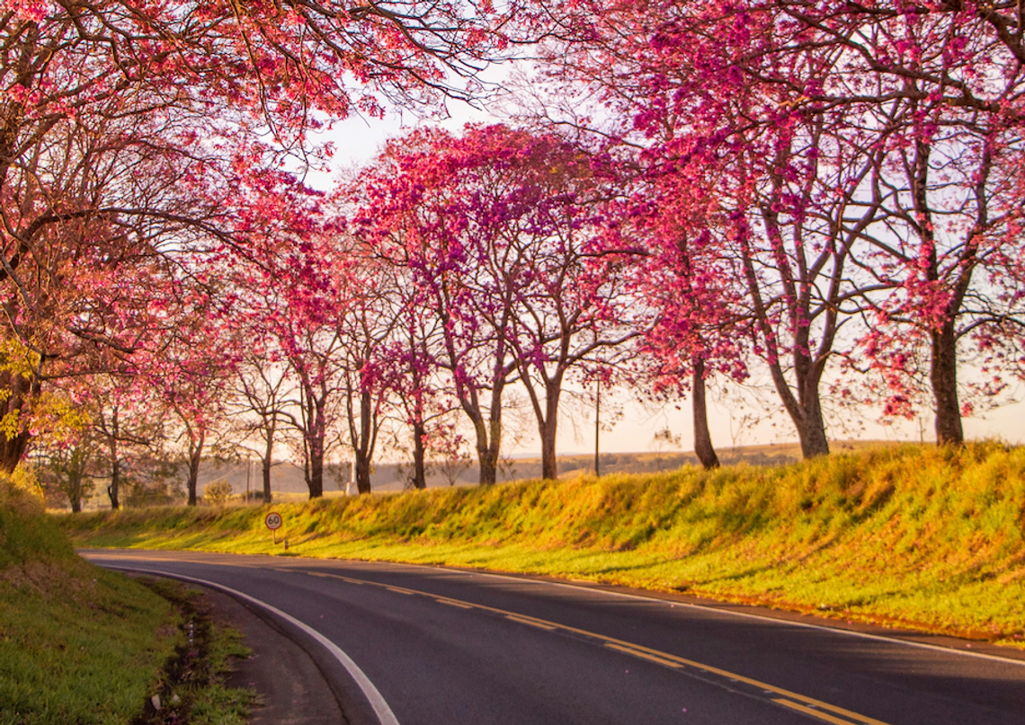 Chorzowskie drogi po zimie — jak stan ulic niszczy amortyzatory i opony (i co z tym zrobić)