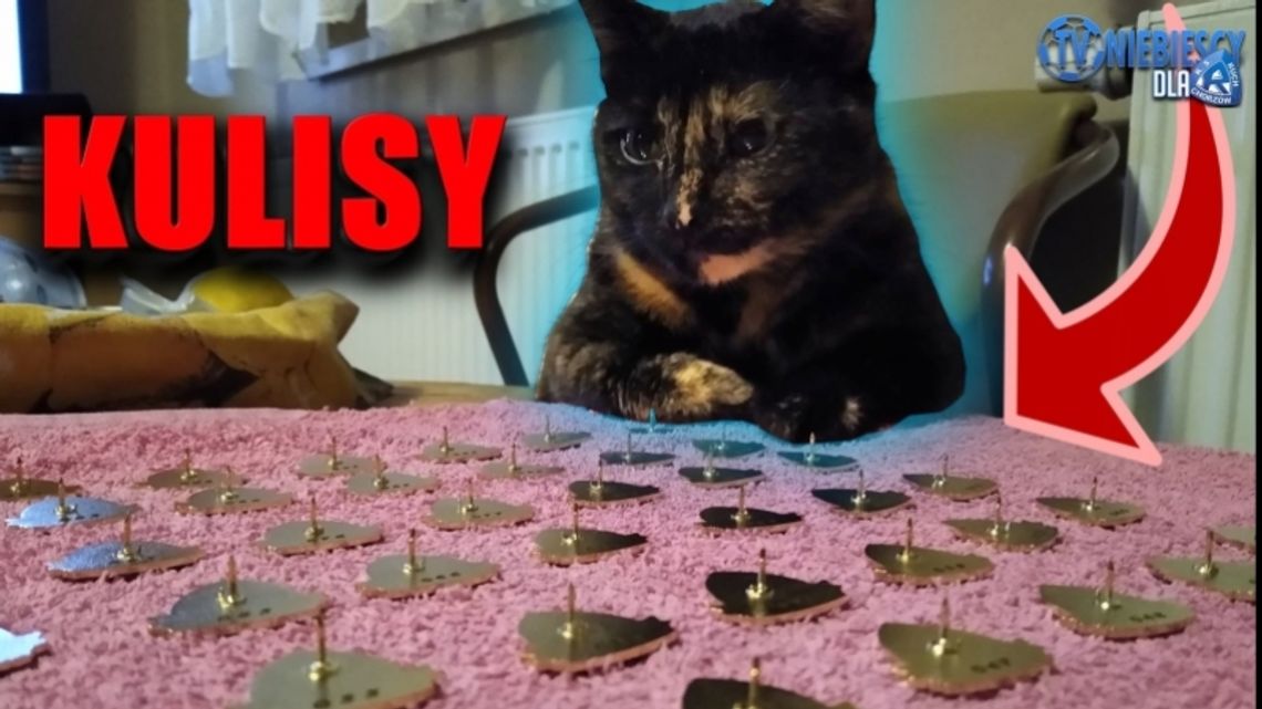 Cicha 6 w czasie pandemii