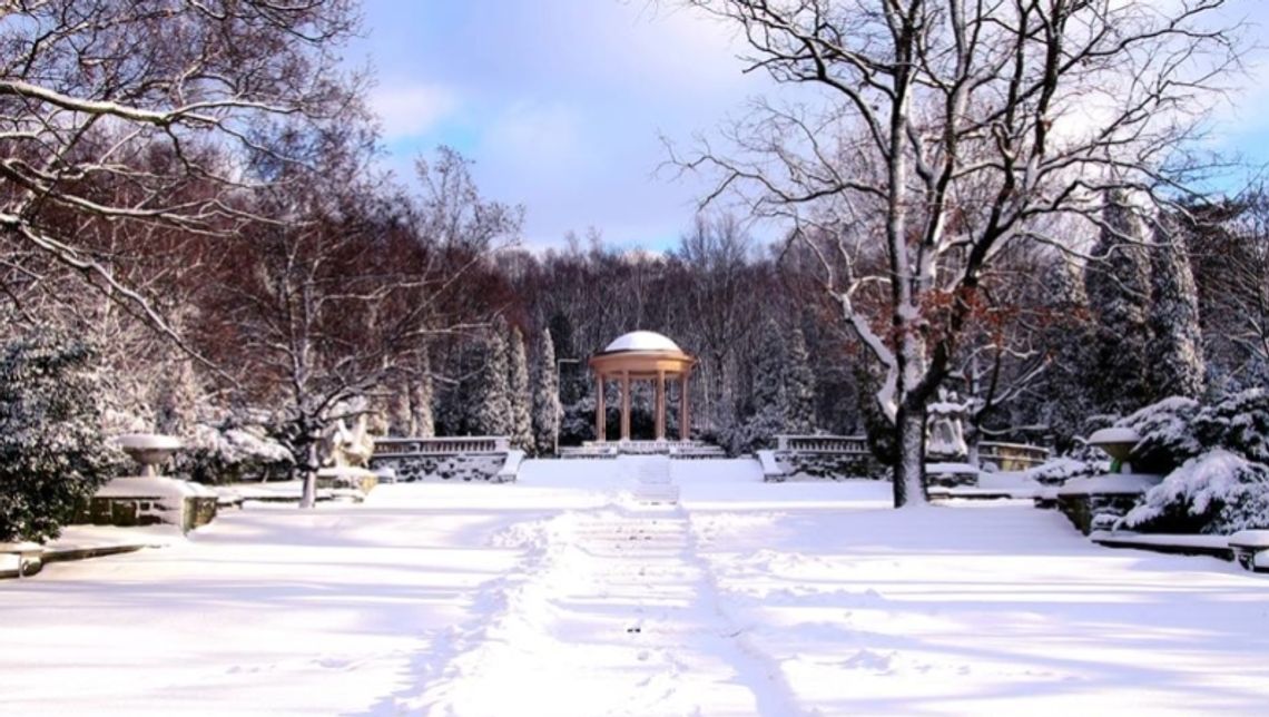 Co dalej z prezesem Parku Śląskiego?