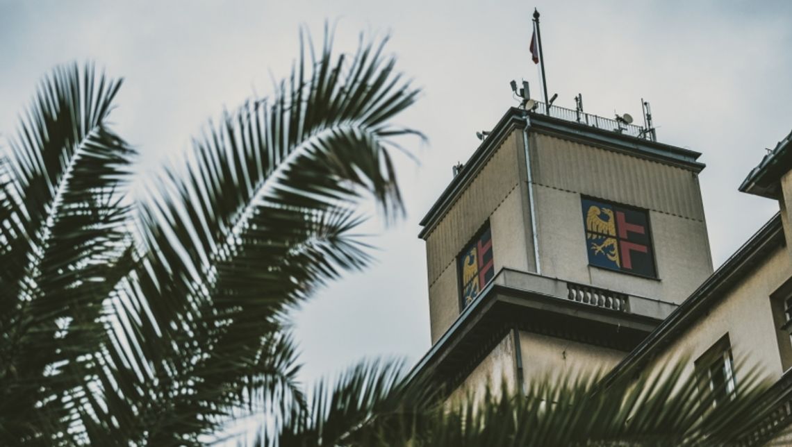 Co łączy budżet miasta z pizzą? Co łączy budżet miasta z pizzą?