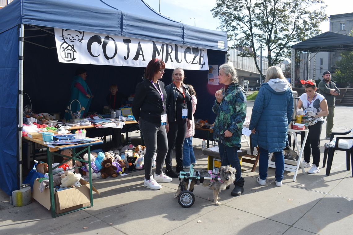 Coś dla małych, dużych i tych na czterech łapach! Przed nami "Zwierzoteka"