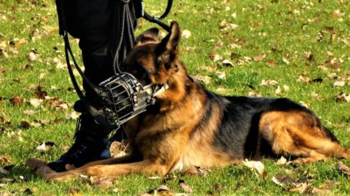 Demol odszedł na emeryturę