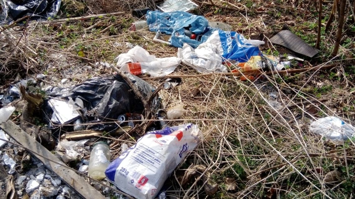 Dwa zgłoszenia w ramach inicjatywy Czysty i zielony Chorzów