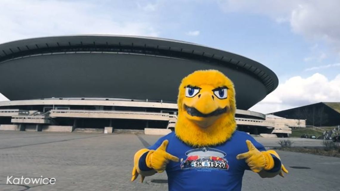 DZ: Maskotka Niebieskich przed Spodkiem i na rynku w Katowicach w nowej koszulce kibiców z katowickiego fanklubu