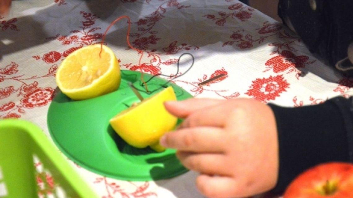 Dziecięca Akademia Nauki