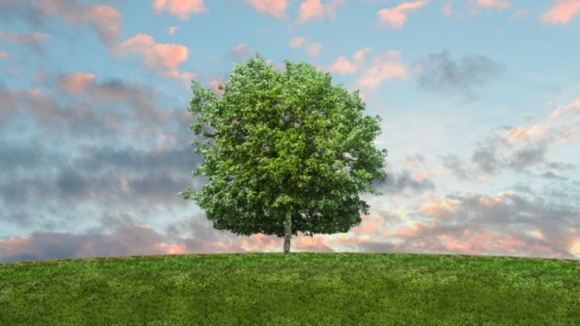 Dzień bez torby foliowej Dzień bez torby foliowej