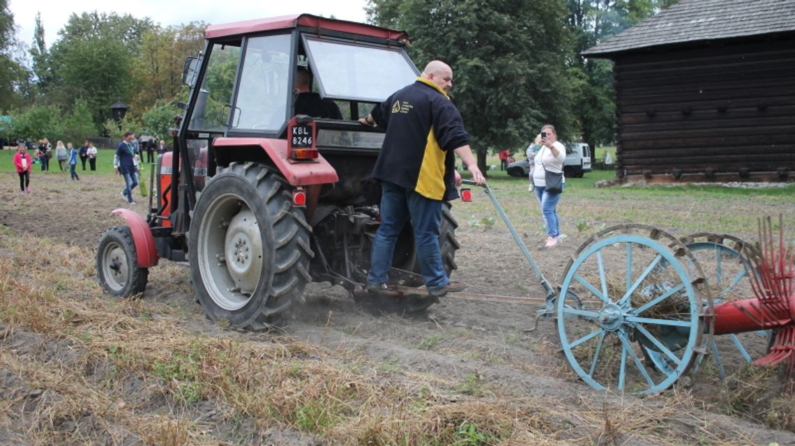 Dzień Kartofla i koncert Włodka Pawlika