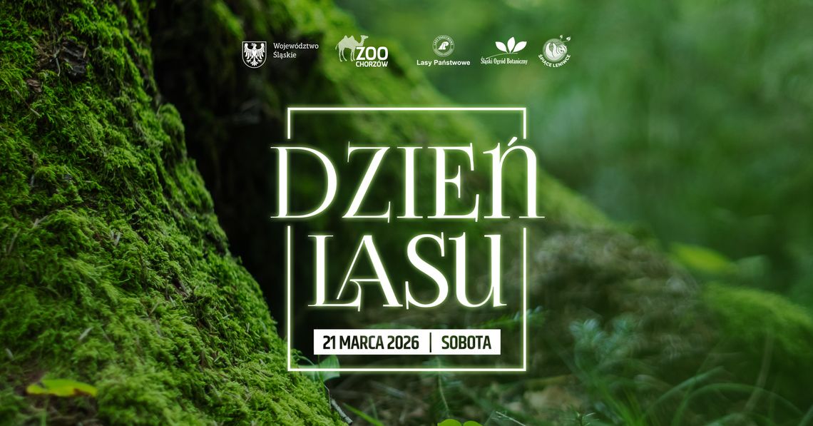 Dzień Lasu w Śląskim ZOO – wspólne świętowanie wśród przyrody
