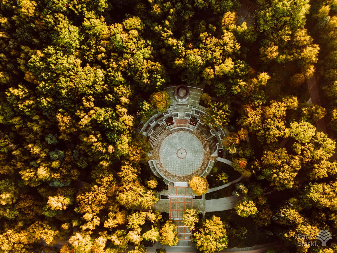 EKOPARK – zielona perła Śląska. Rusza niezwykła podróż do świata bioróżnorodności