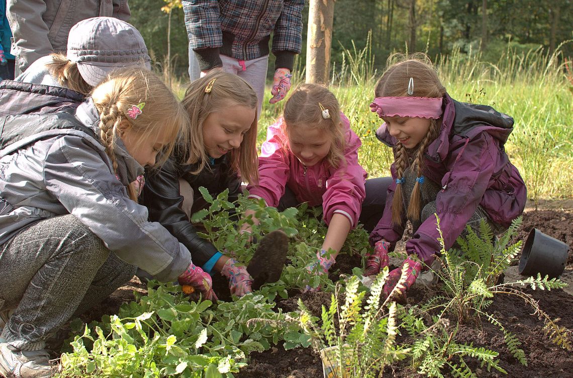"Ekoprzedszkolak" wystartował! Można już składać wnioski