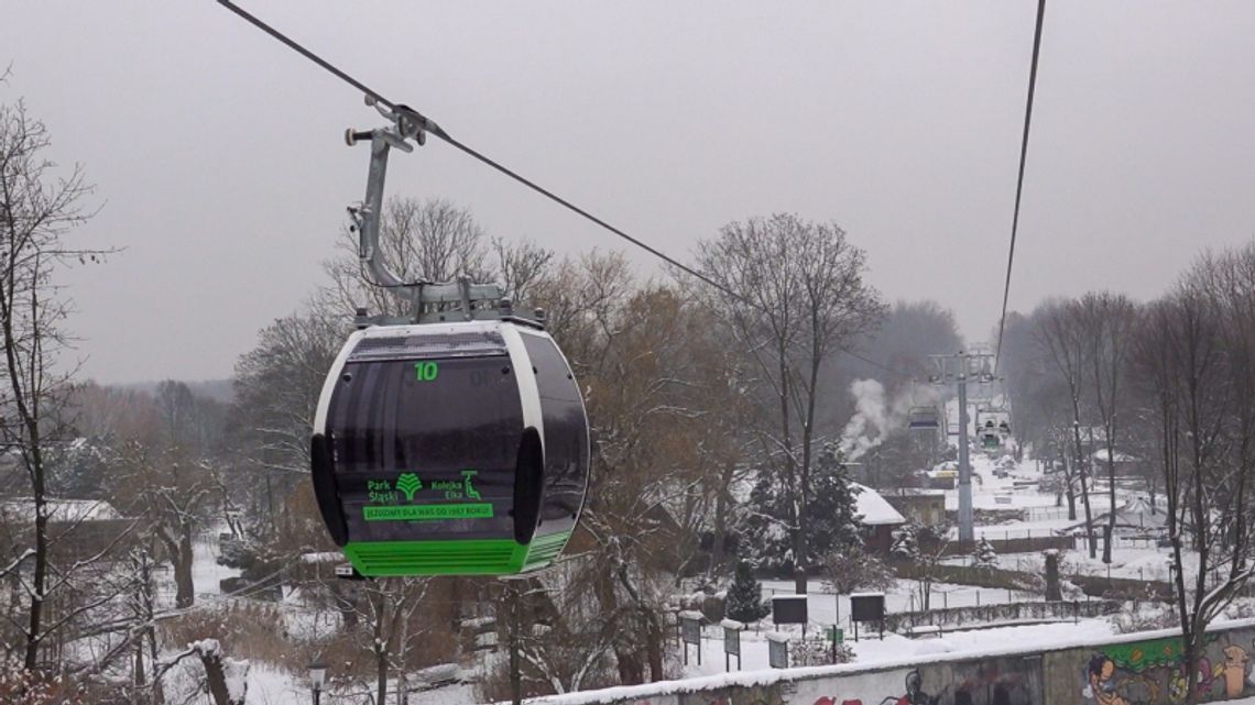 Elka wraca do kursowania kultową trasą nad zoo [ZDJĘCIA]