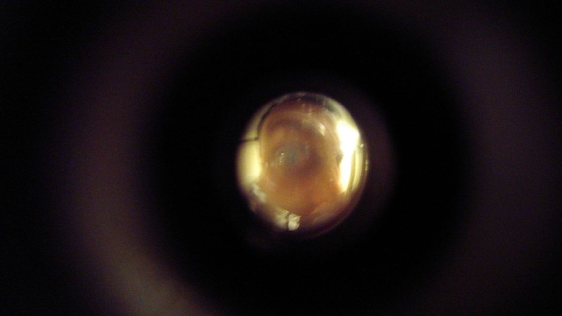 Fałszywy pracownik wodociągów okradł seniorkę