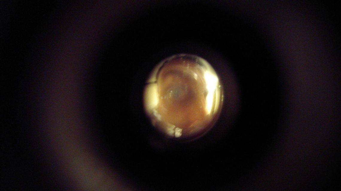 Fałszywy pracownik wodociągów okradł seniorkę