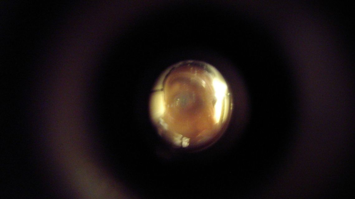 Fałszywy pracownik wodociągów okradł seniorkę Fałszywy pracownik wodociągów okradł seniorkę