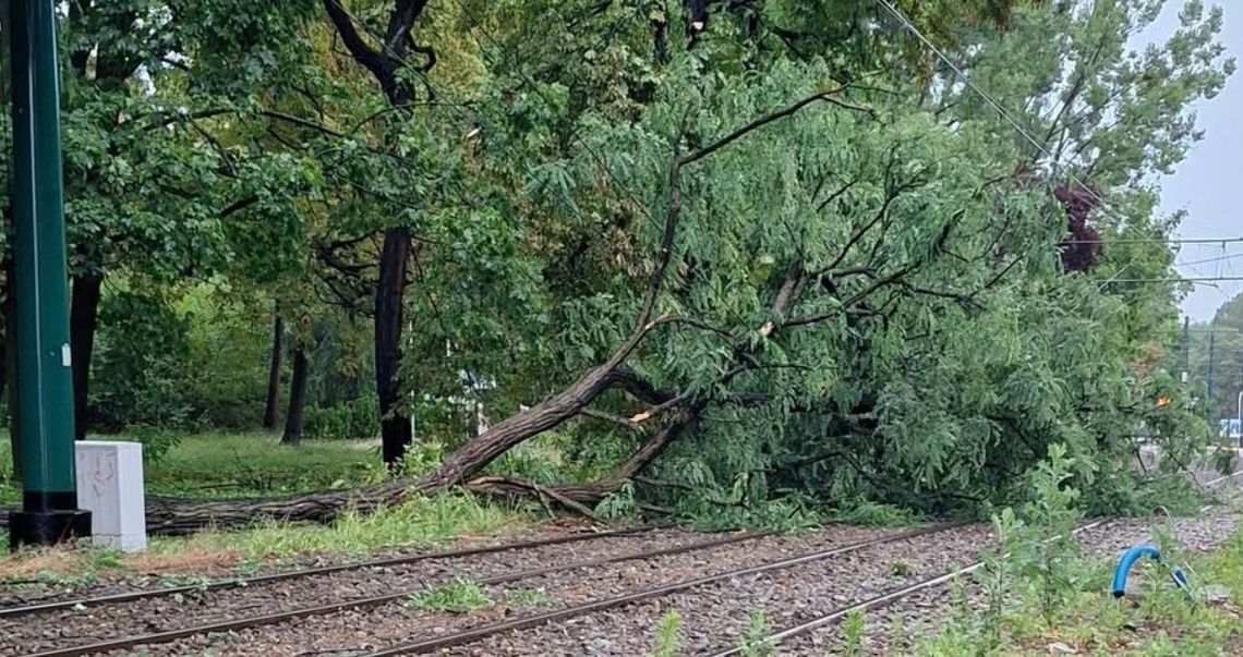 Gwałtowne burze nad Śląskiem. Świętochłowice z licznymi zniszczeniami i utrudnieniami w komunikacji Gwałtowne burze nad Śląskiem. Świętochłowice z licznymi zniszczeniami i utrudnieniami w komunikacji