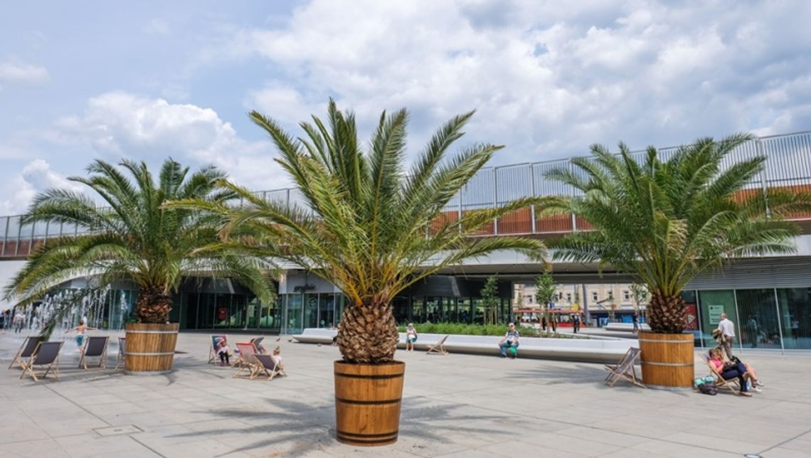 Hilda, Truda i Bercik