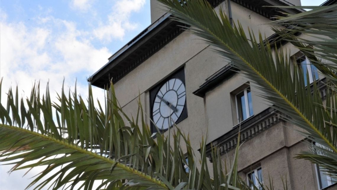 Jak zwiększyć budżet miasta? Chorzów znalazł na to sposób!