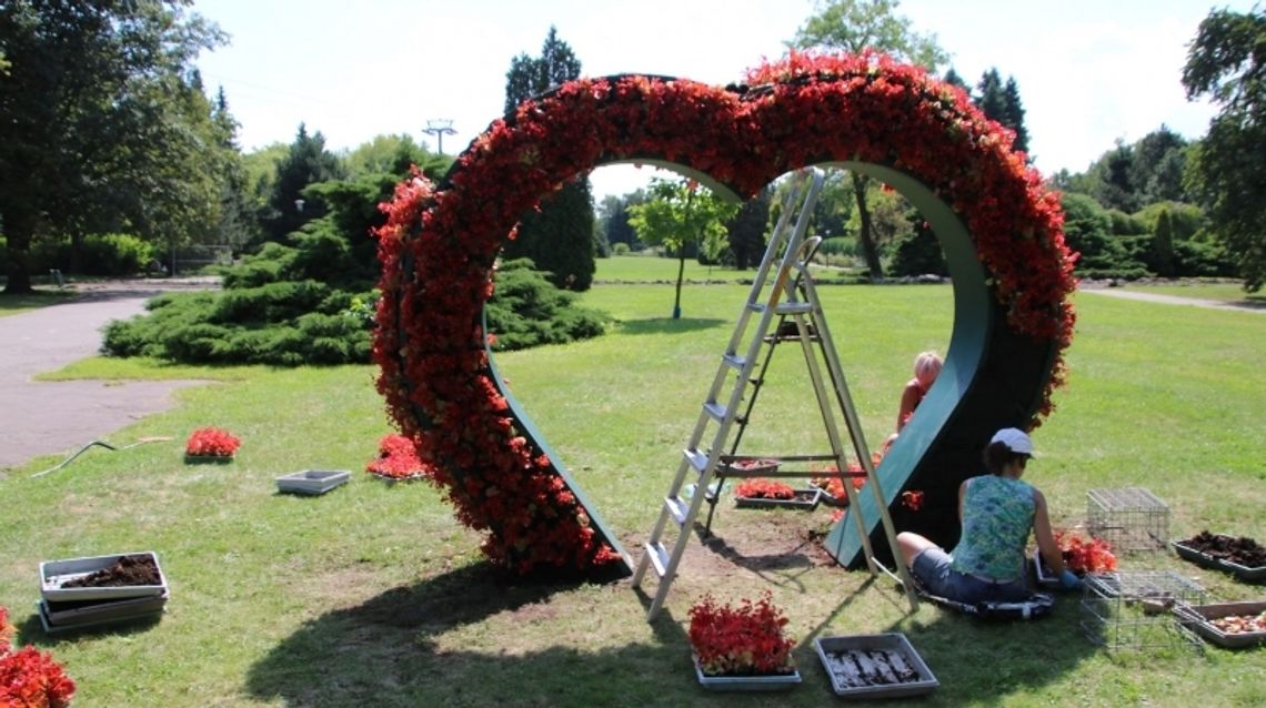 Jeże, żółwie i nowa miejscówka dla zakochanych Jeże, żółwie i nowa miejscówka dla zakochanych