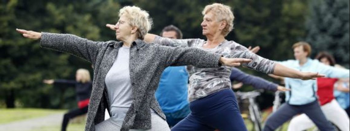 Joga w Parku Śląskim 