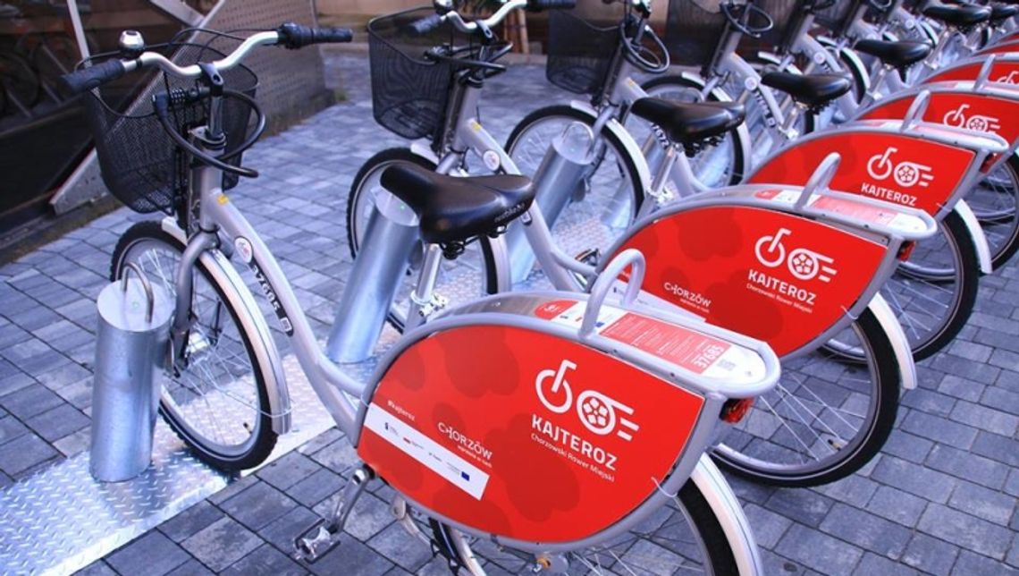 KajTeroz podbija serca chorzowian