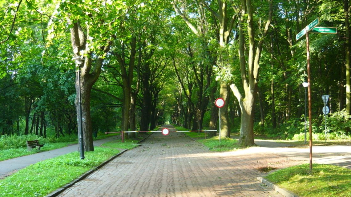 Katowice chcą przejąć Park Śląski Katowice chcą przejąć Park Śląski