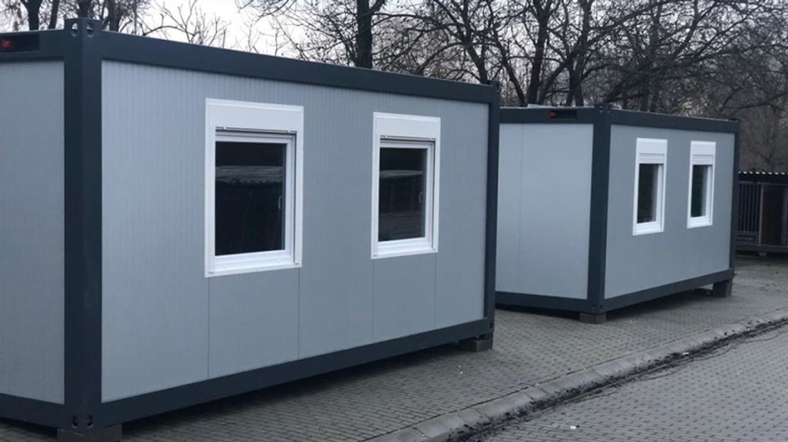  Koci szpital i dom spokojnej starości dla psiego seniora