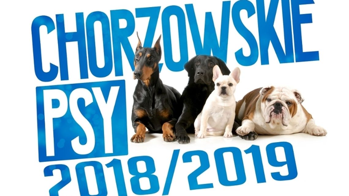 Kolejna edycja akcji „Chorzowskie Psy”