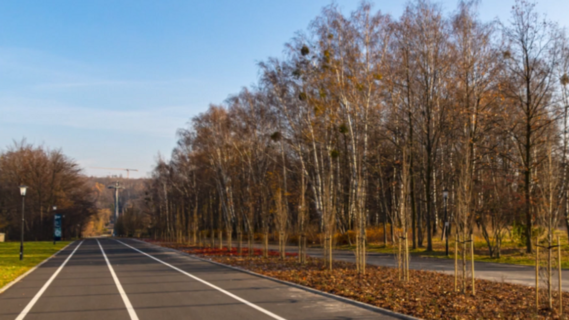 Krzewy, byliny i drzewa ozdobiły aleję Wiązową 