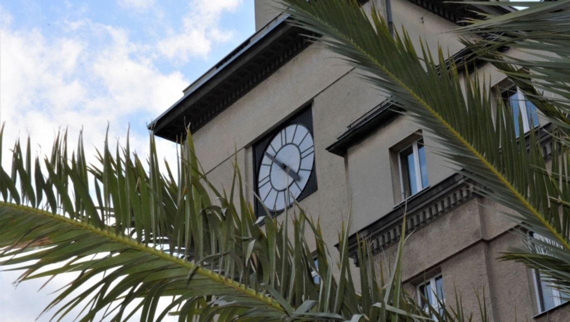 Kubańskie klimaty na chorzowskim rynku