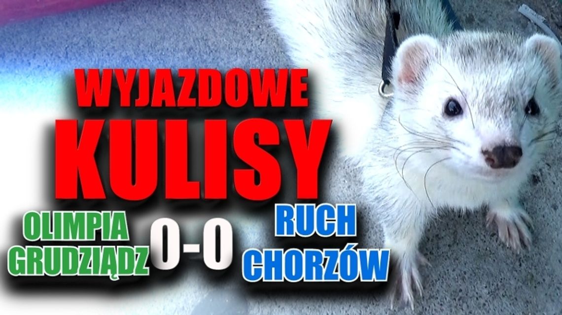 Kulisy i skrót meczu z Olimpią [WIDEO]