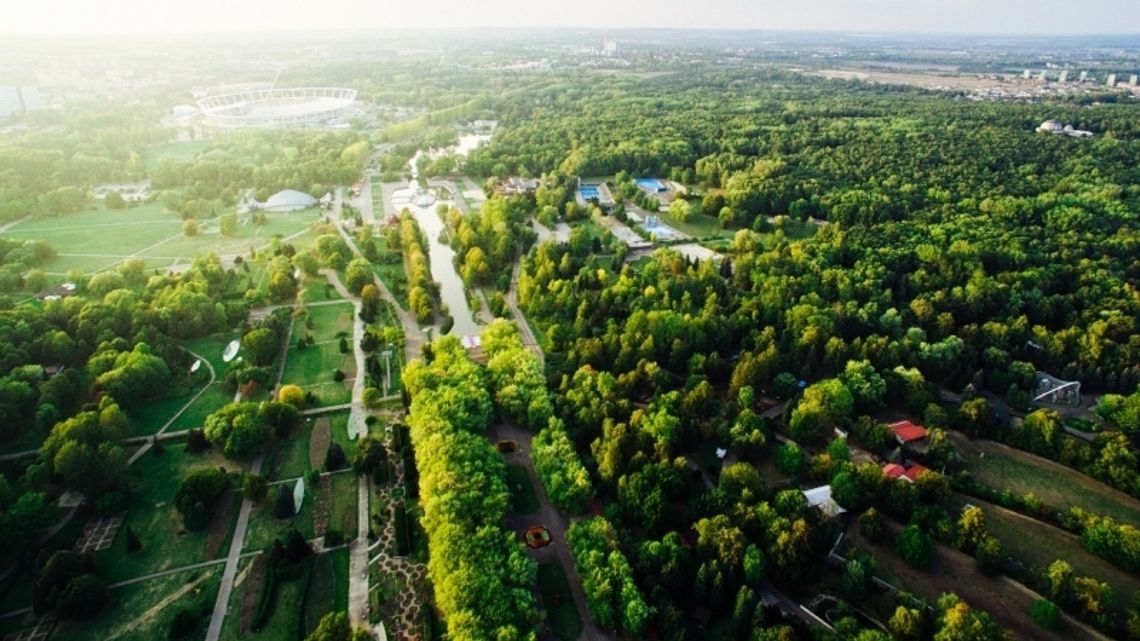 Kwietne łąki w Parku Śląskim Kwietne łąki w Parku Śląskim