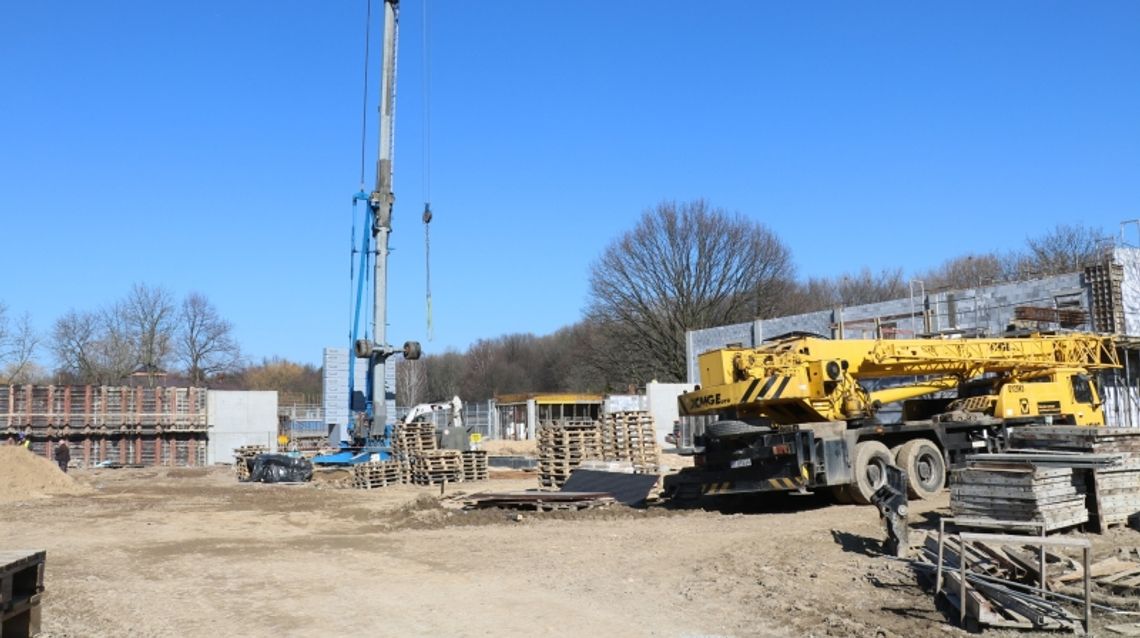 Las deszczowy w Chorzowie? W śląskim zoo trwa budowa nowej ekspozycji