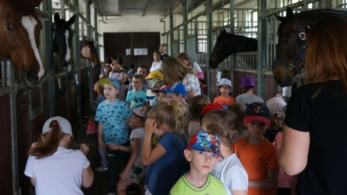 Lekcja ekologii z policją konną Lekcja ekologii z policją konną