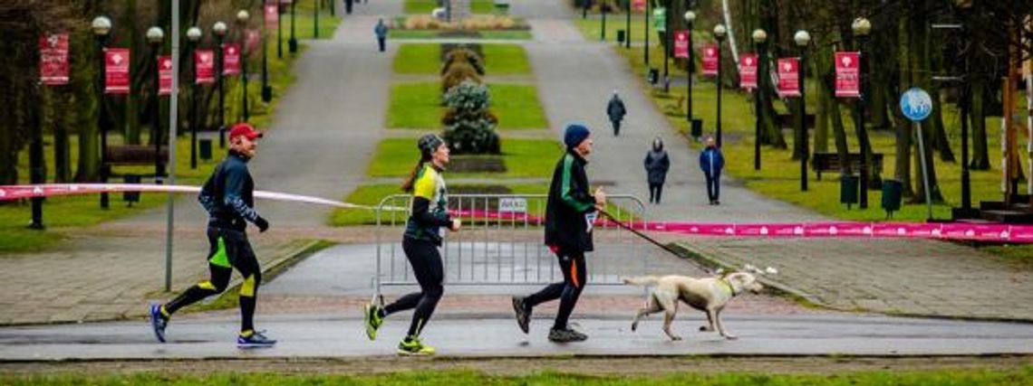 Maraton na dobry początek roku [ZDJĘCIA]