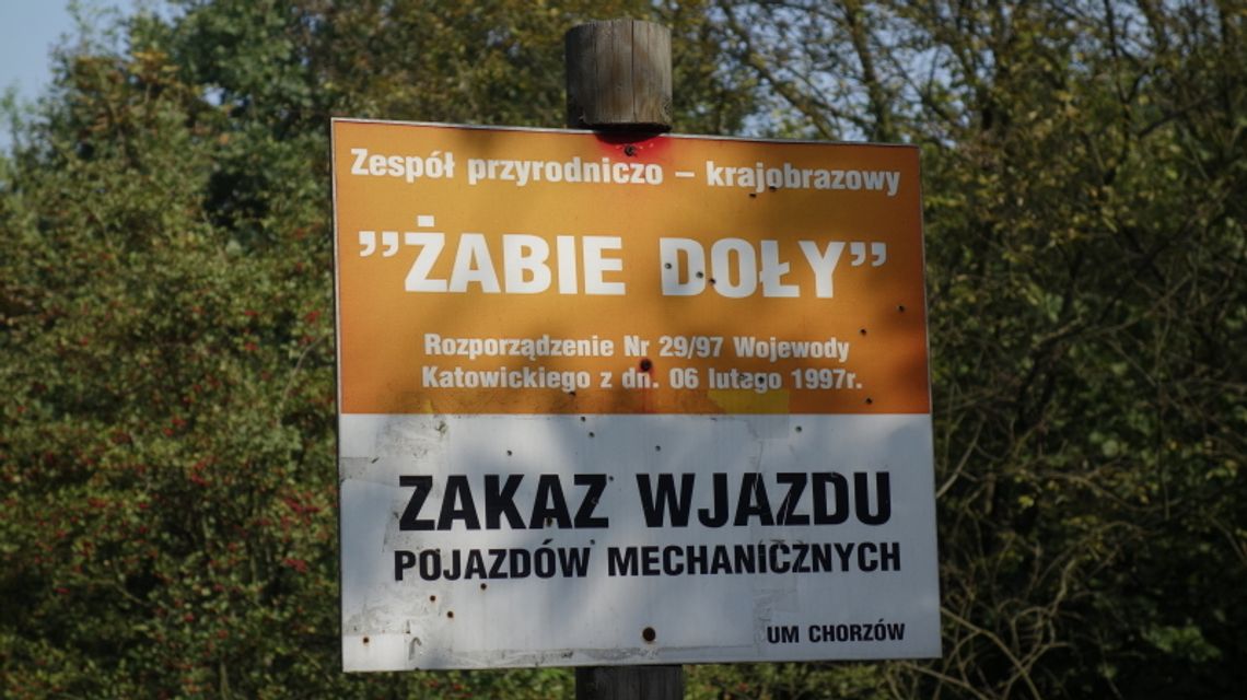 Miasto przyjrzy się Żabim Dołom