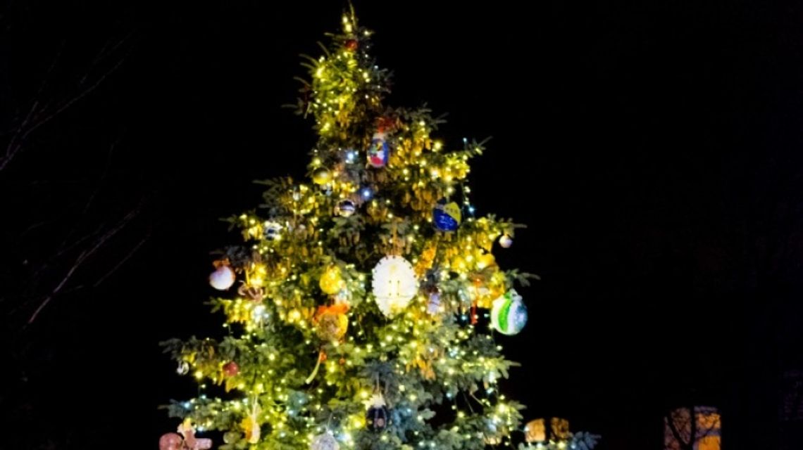 Miejskie strojenie choinki