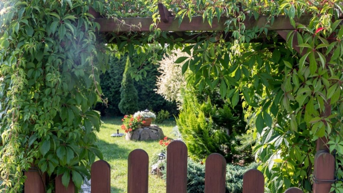 Milion dla działkowców