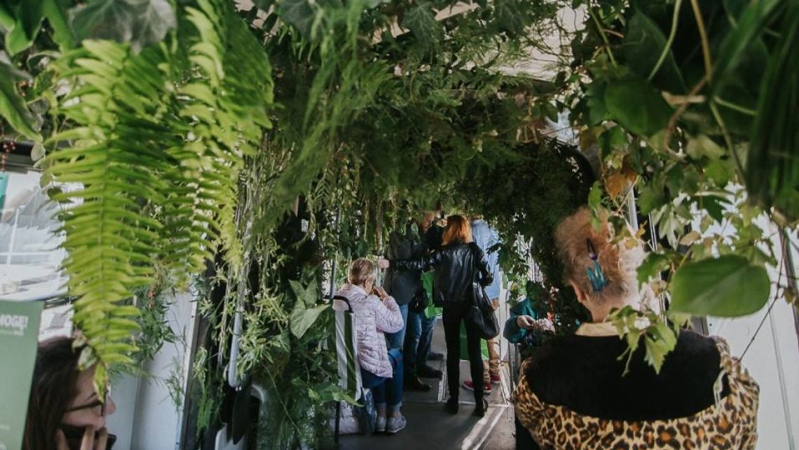 Mobilna dżungla jeździ po mieście!